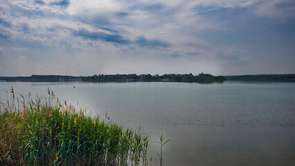 Ufer mit Schilf, Blick auf den Störmthaler See bei Leipzig, Markkleeberg, Sachsen, Deutschland