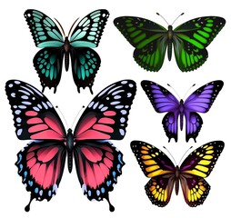 Fototapeta na wymiar Set of very beautiful colorful butterflies with color transitions isolated on a white background.