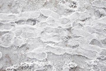 Frozen tracks of shoes and paw prints on an icy frozen sidewalk
