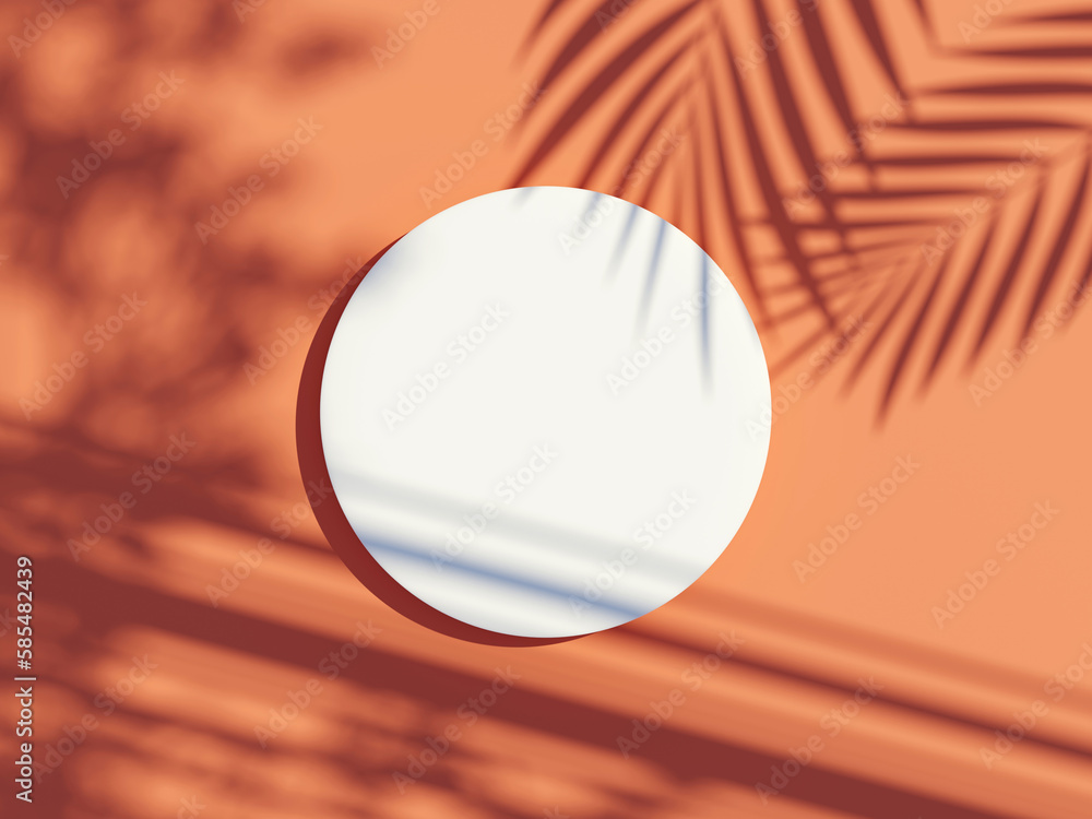 Poster 3d render top view of white blank cylinder frame for mock up and display products with shadows of pa