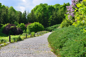 Fototapeta na wymiar Paving stones path in Sofiivka Park, Uman