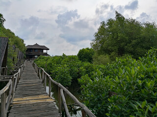 Fototapeta na wymiar Wooden footbridge over protected mangroves in Jakarta, Indonesia