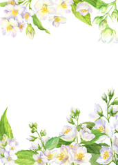 Obraz na płótnie Canvas watercolor illustration, frame with flowers of jasmine
