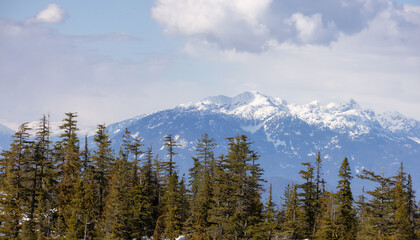 Canadian Mountain Landscape Nature Background. Squamish, BC, Canada.