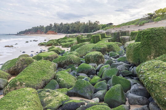 Plenty of green reefs strewn with rocks along the coastline in Kinmen, Taiwan. 金門 綠石槽