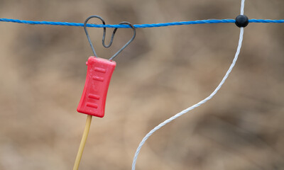 Close-up of the detail of an electric fence. You can see a blue plastic wire with metal fibers and...