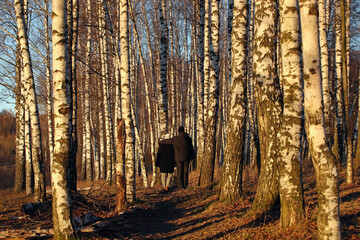 Young adult son and his mother walking in autumn birch forest. Photo was taken 14 November 2022 year, MSK time in Russia.