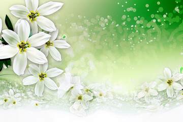 White Flowers on a Pale Green Background: An Elegant, Dreamy and Heavenly Artwork with Beautiful Detailing and Proportionate Balance