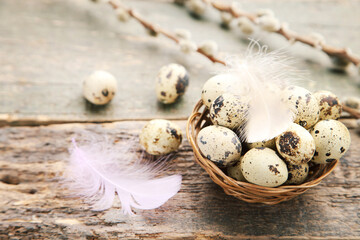 Quail eggs in basket, feather and willow branch on wooden background