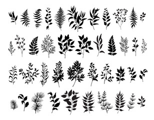 Forest leaves, herbs and branches silhouettes set. Vector illustration.