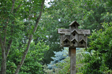 Wooden tower birdhouse in park