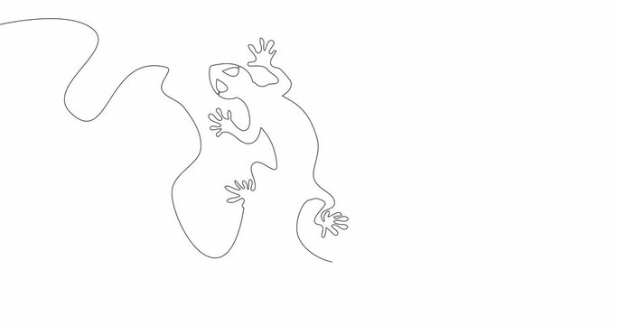 Self drawing line animation lizard reptile continuous one single line drawn concept video