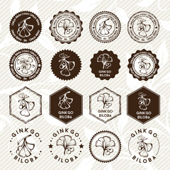 Ginkgo biloba. Circle and hexagon stamps and stickers set.
