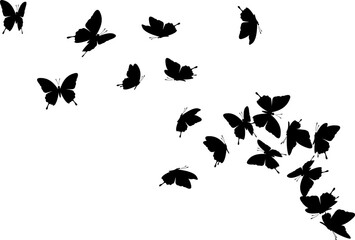 Flying butterflies. Vector decoration element.