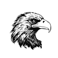 Eagle head logo. Black and white sketch. Vector illustration