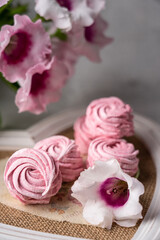 Obraz na płótnie Canvas Sweet Marshmallow Russian Zephyr Pink