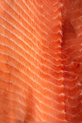 salmon fillet texture closeup