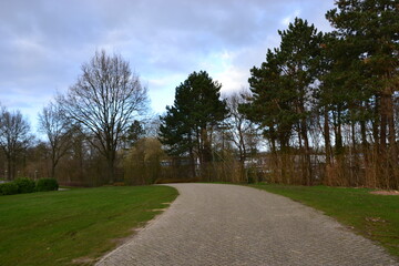 road in the park