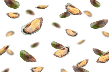 Falling Mussel, green shell, isolated on white background, selective focus