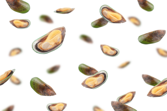 Falling Mussel, green shell, isolated on white background, selective focus