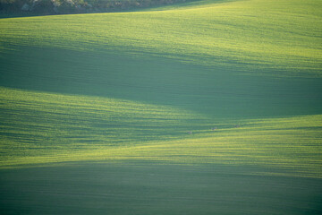 Agricultural fields in South Moravia