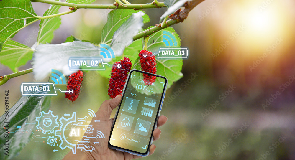 Poster the concept of applying technology, artificial intelligence and iot to use in agriculture to analyze