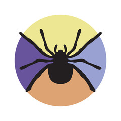 Fototapeta premium spider icon