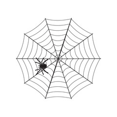 Fototapeta premium cobweb icon