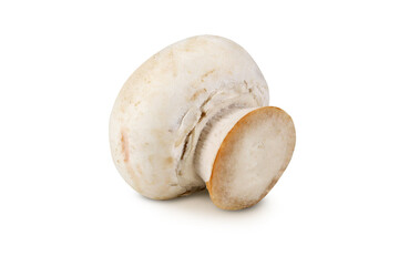 Champignon on an isolated white background