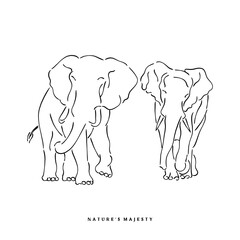 elephant silhouette vector