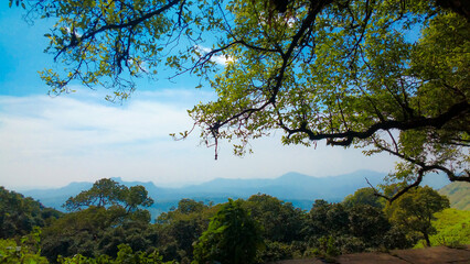 A Breath of Fresh Air: Blue Skies and Lush Greenery
