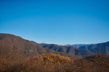 Plakat autumn panorama on a clear sunny day overlooking beautiful mountains with blue sky and yellow treetops