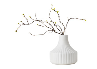Ceramic vase and spring twigs with young green leaves isolated on white or transparent background
