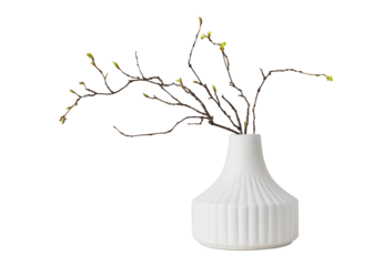 Ceramic vase and spring twigs with young green leaves isolated on white or transparent background