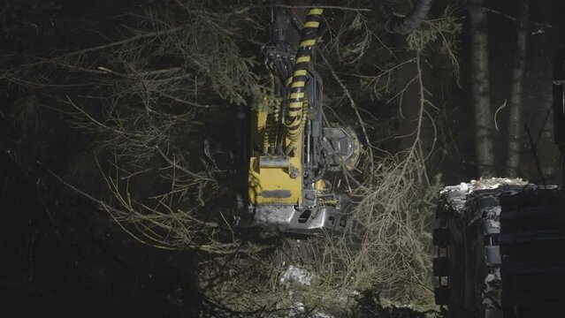 The claw machine of the tree harvester cutting and cleaning the tree for harvesting in Estonia