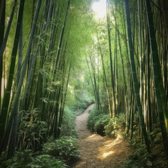 Fototapeta na wymiar Bamboo Forest, AI