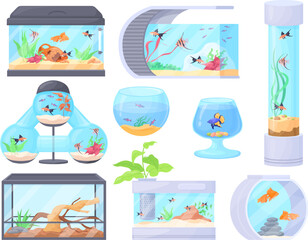 Home aquariums. Square bowl jar glass aquarium tank with underwater animals fish or reptile pet and sea plants decorations, goldfish water house, cartoon neat vector illustration