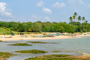 Tropical southern coast of Sri Lanka. Photography for tourism background, design and advertising