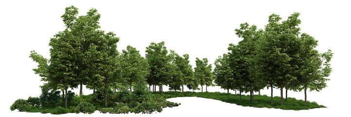 trees and grass in a small grove landscape, isolated on transparent background banner