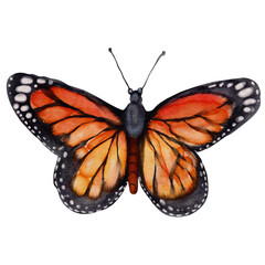 Vibrant Monarch Butterfly Watercolor Illustration. A Colorful Symbol of Freedom and Metamorphosis