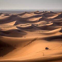 Fototapeta na wymiar intense desert landscape with a camel and sand dunes
