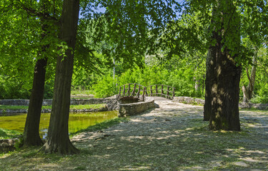 Trees and wooden bridge at the park in spring