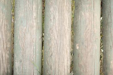 Background image of painted logs, a path in the garden