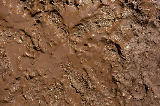 Background image texture of wet clay