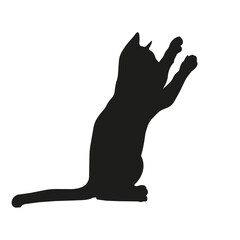 Cat silhouette illustration, sitting cat raises its paws, playing cat