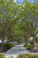 Fototapeta na wymiar March 25, 2023, Winter Garden, FL: The West Orange bicycle trail through Winter Garden, Florida