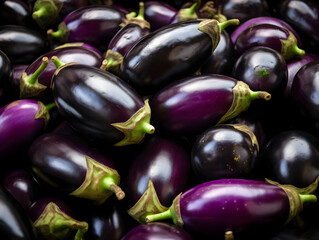 Bunch of purple eggplants background, healthy fresh aubergine backdrop.