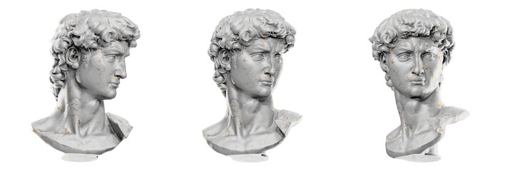 Beautiful 3D render of Michelangelo's David head sculpture.