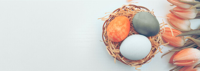 Yellow Tulips and easter Eggs in the nest isolated on white wood Background.