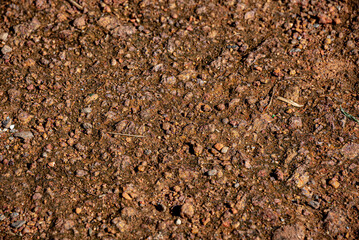 texture
